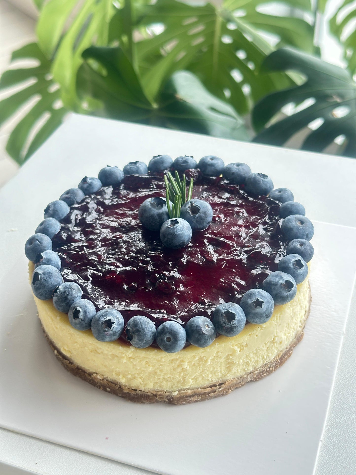 Blueberry Cheesecake